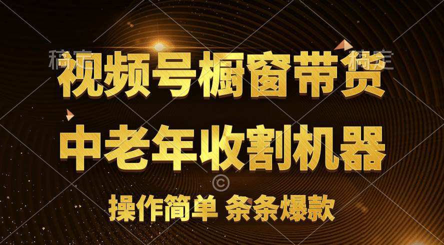 项目-[你的孩子成功取得高位]视频号最火爆赛道，橱窗带货，流量分成计划，条&#8230;骑士资源网(1)