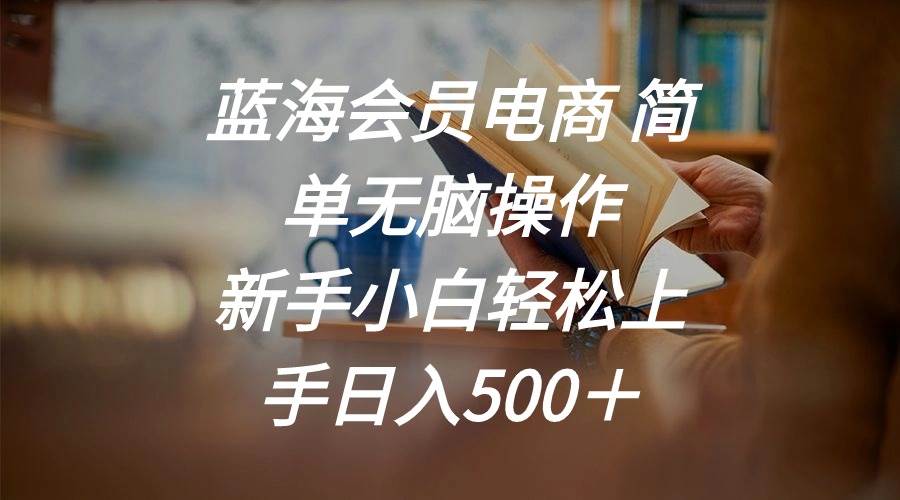 项目-蓝海会员电商 简单无脑操作 新手小白轻松上手日入500＋骑士资源网(1)