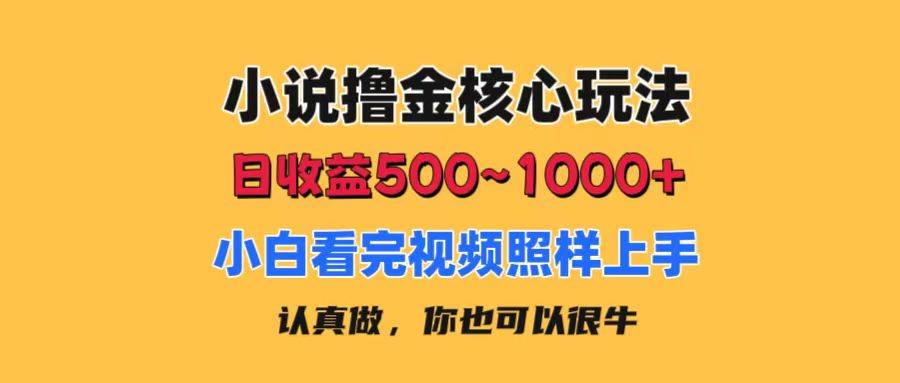 项目-小说撸金核心玩法，日收益500-1000+，小白看完照样上手，0成本有手就行骑士资源网(1)