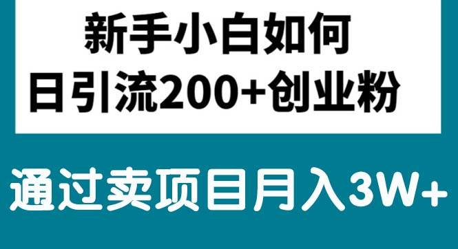 项目-新手小白日引流200+创业粉,通过卖项目月入3W+骑士资源网(1)