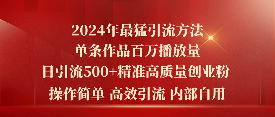 项目-2024年最猛暴力引流方法，单条作品百万播放 单日引流500+高质量精准创业粉骑士资源网(1)