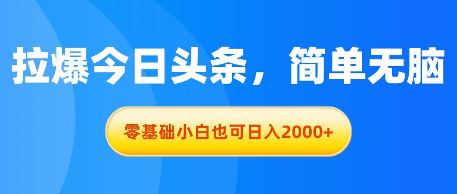 项目-拉爆今日头条，简单无脑，零基础小白也可日入2000+骑士资源网(1)