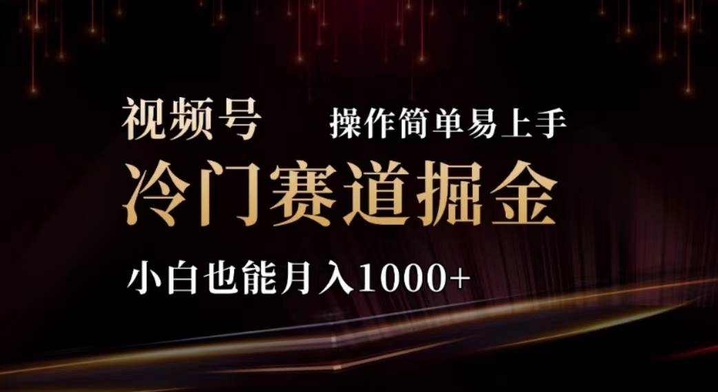 项目-2024视频号冷门赛道掘金，操作简单轻松上手，小白也能月入1000+骑士资源网(1)