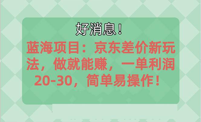 项目-越早知道越能赚到钱的蓝海项目：京东大平台操作，一单利润20-30，简单&#8230;骑士资源网(1)