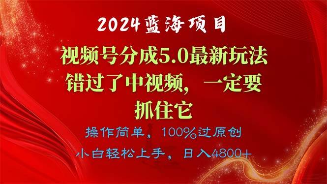 项目-2024蓝海项目，视频号分成计划5.0最新玩法，错过了中视频，一定要抓住&#8230;骑士资源网(1)