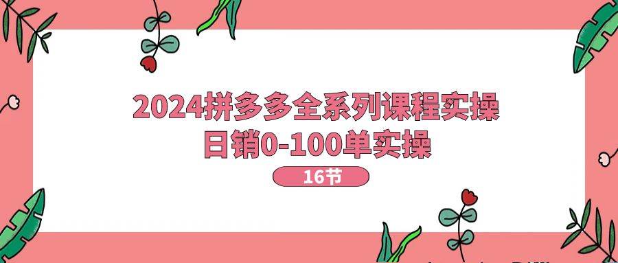 项目-2024拼多多全系列课程实操，日销0-100单实操【16节课】骑士资源网(1)