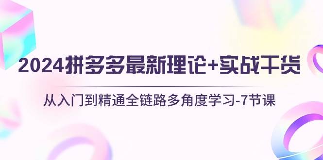 项目-2024拼多多 最新理论+实战干货，从入门到精通全链路多角度学习-7节课骑士资源网(1)