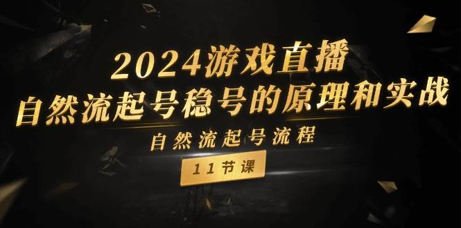 项目-2024游戏直播-自然流起号稳号的原理和实战，自然流起号流程（11节）骑士资源网(1)