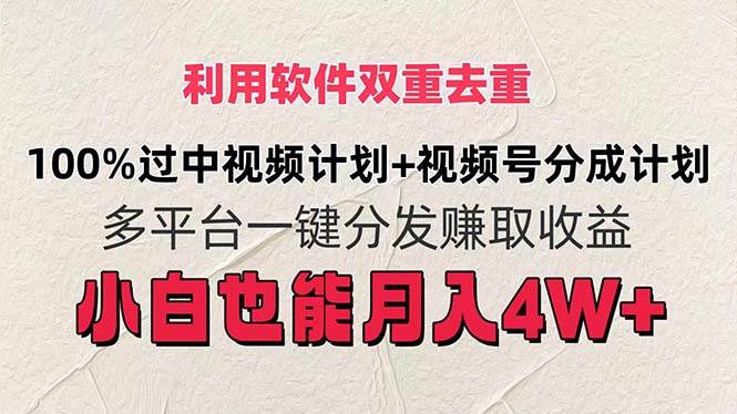 项目-利用软件双重去重，100%过中视频+视频号分成计划小白也可以月入4W+骑士资源网(1)