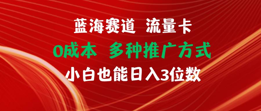 项目-蓝海赛道 流量卡 0成本 小白也能日入三位数骑士资源网(1)