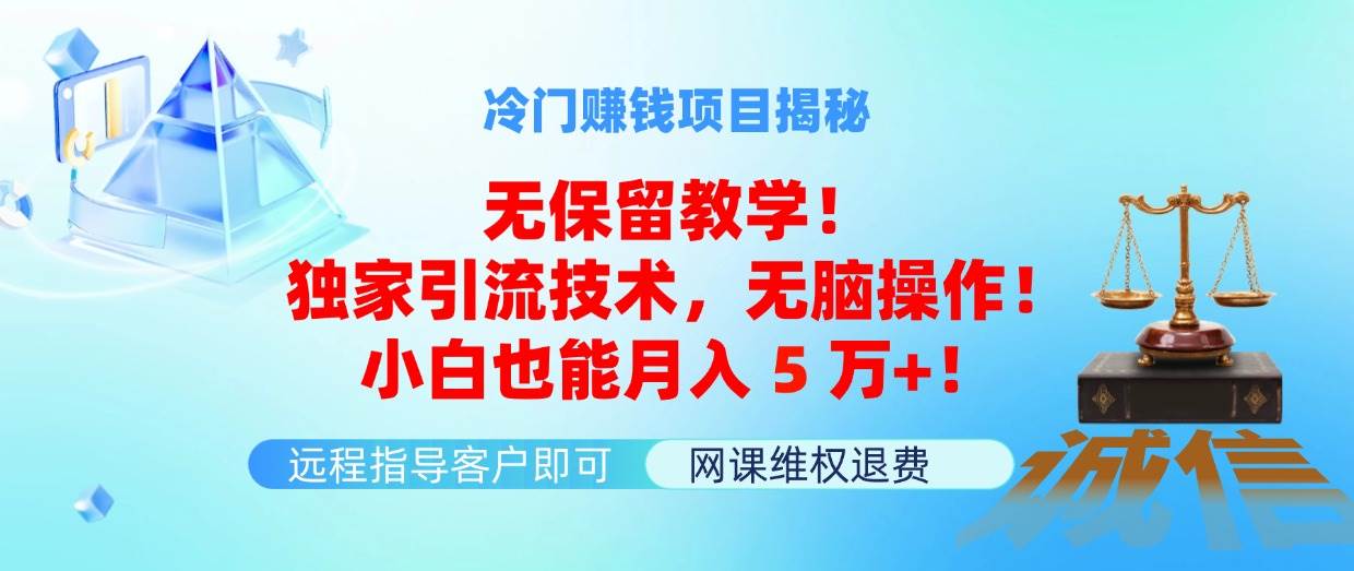 项目-冷门赚钱项目无保留教学！独家引流技术，无脑操作！小白也能月入5万+！骑士资源网(1)