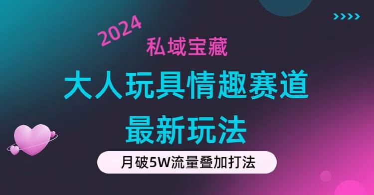 项目-私域宝藏：大人玩具情趣赛道合规新玩法，零投入，私域超高流量成单率高骑士资源网(1)