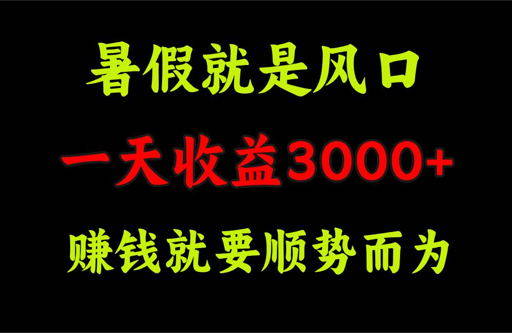 项目-一天收益3000+ 赚钱就是顺势而为，暑假就是风口骑士资源网(1)