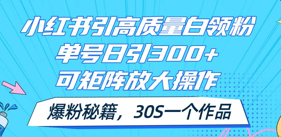 项目-小红书引高质量白领粉，单号日引300+，可放大操作，爆粉秘籍！30s一个作品骑士资源网(1)