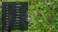 看电视软件 非凡TV直播v1.0.2 央视 卫视 地方台 电影等