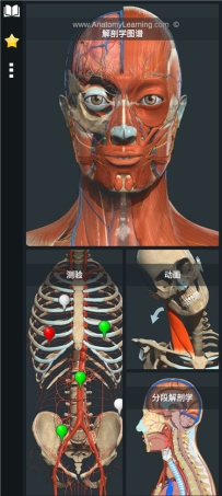 Anatomy Learning3.1.494解锁高级版 3D人体解剖图